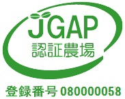 JGAPʔF؎擾II